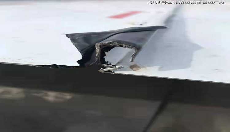 1721095596287851.jpeg 03.jpeg